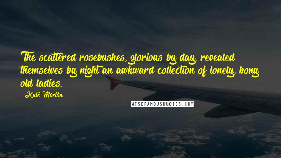 Kate Morton Quotes: The scattered rosebushes, glorious by day, revealed themselves by night an awkward collection of lonely, bony old ladies.