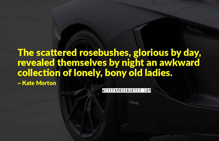 Kate Morton Quotes: The scattered rosebushes, glorious by day, revealed themselves by night an awkward collection of lonely, bony old ladies.