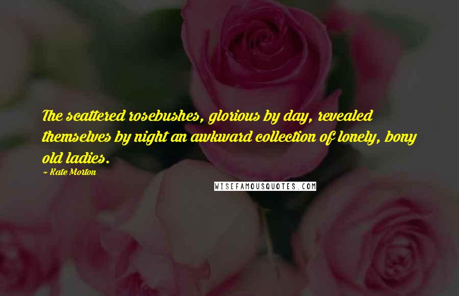 Kate Morton Quotes: The scattered rosebushes, glorious by day, revealed themselves by night an awkward collection of lonely, bony old ladies.