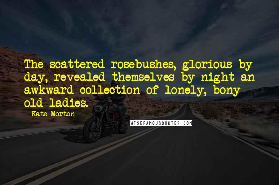 Kate Morton Quotes: The scattered rosebushes, glorious by day, revealed themselves by night an awkward collection of lonely, bony old ladies.