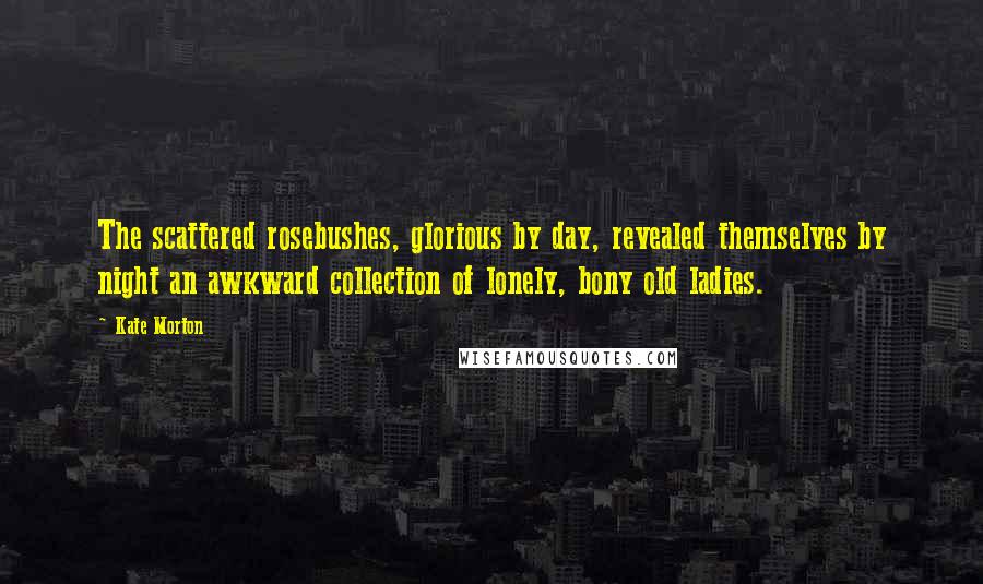 Kate Morton Quotes: The scattered rosebushes, glorious by day, revealed themselves by night an awkward collection of lonely, bony old ladies.