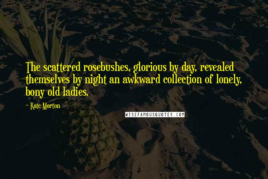 Kate Morton Quotes: The scattered rosebushes, glorious by day, revealed themselves by night an awkward collection of lonely, bony old ladies.