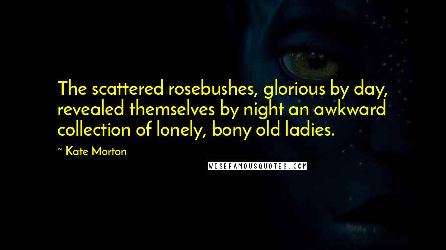 Kate Morton Quotes: The scattered rosebushes, glorious by day, revealed themselves by night an awkward collection of lonely, bony old ladies.