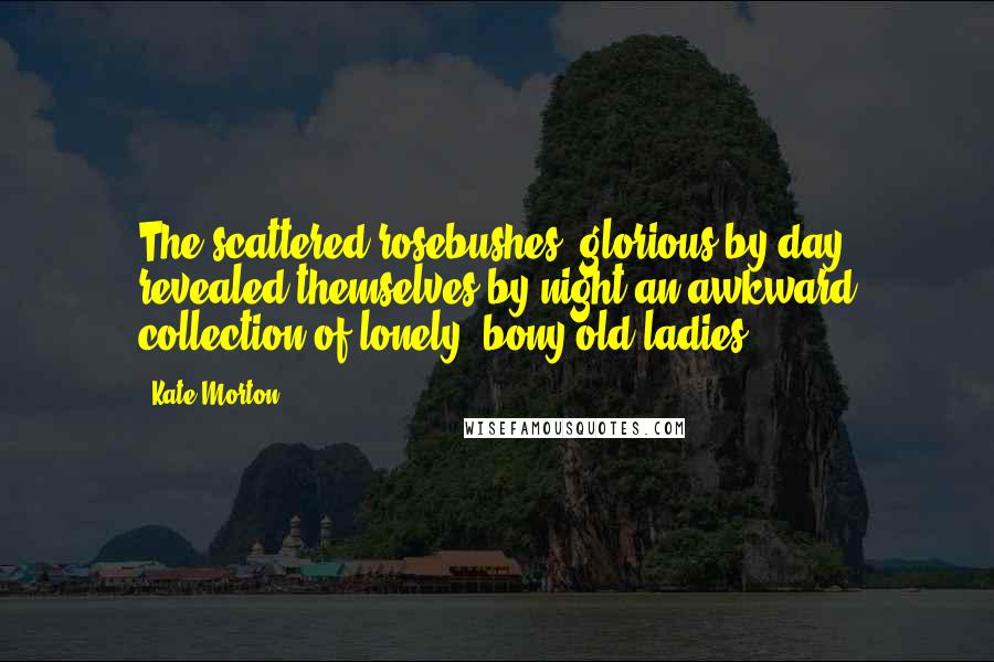 Kate Morton Quotes: The scattered rosebushes, glorious by day, revealed themselves by night an awkward collection of lonely, bony old ladies.