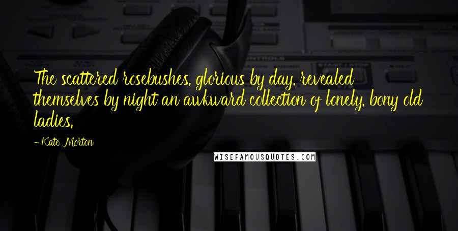 Kate Morton Quotes: The scattered rosebushes, glorious by day, revealed themselves by night an awkward collection of lonely, bony old ladies.