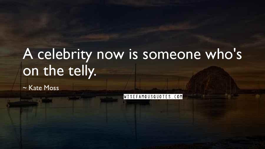 Kate Moss Quotes: A celebrity now is someone who's on the telly.