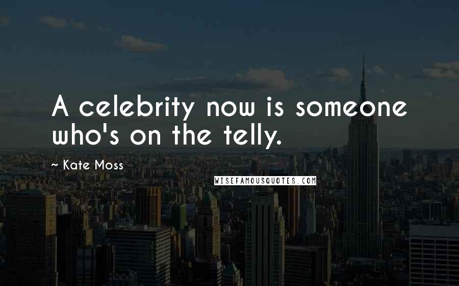 Kate Moss Quotes: A celebrity now is someone who's on the telly.