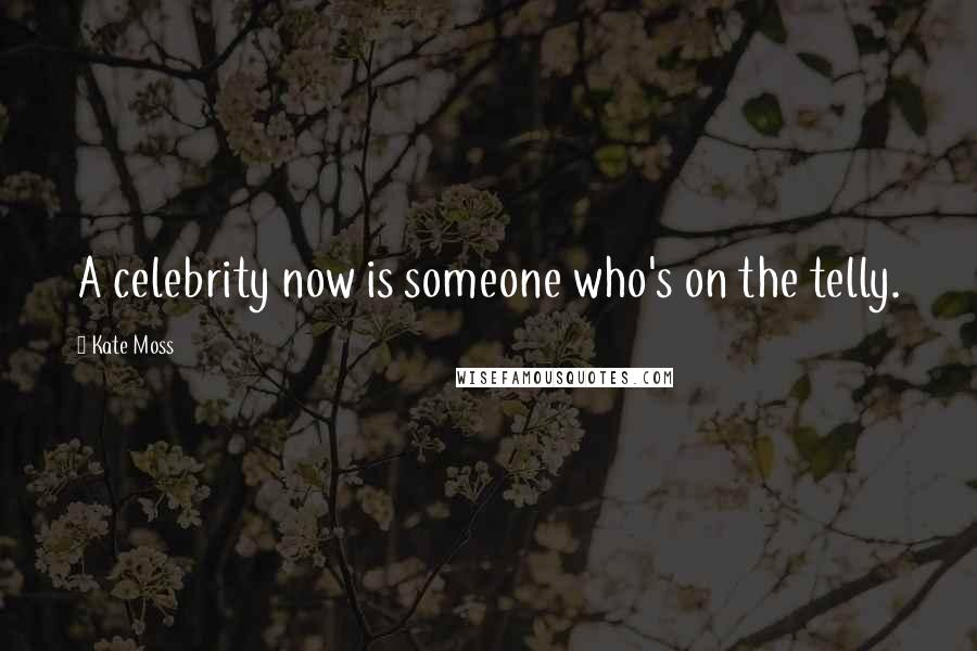 Kate Moss Quotes: A celebrity now is someone who's on the telly.