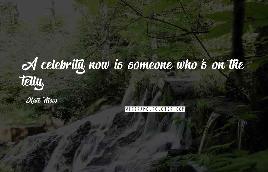 Kate Moss Quotes: A celebrity now is someone who's on the telly.