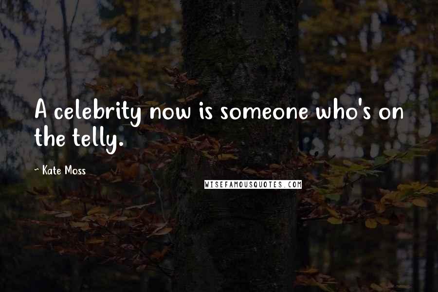 Kate Moss Quotes: A celebrity now is someone who's on the telly.