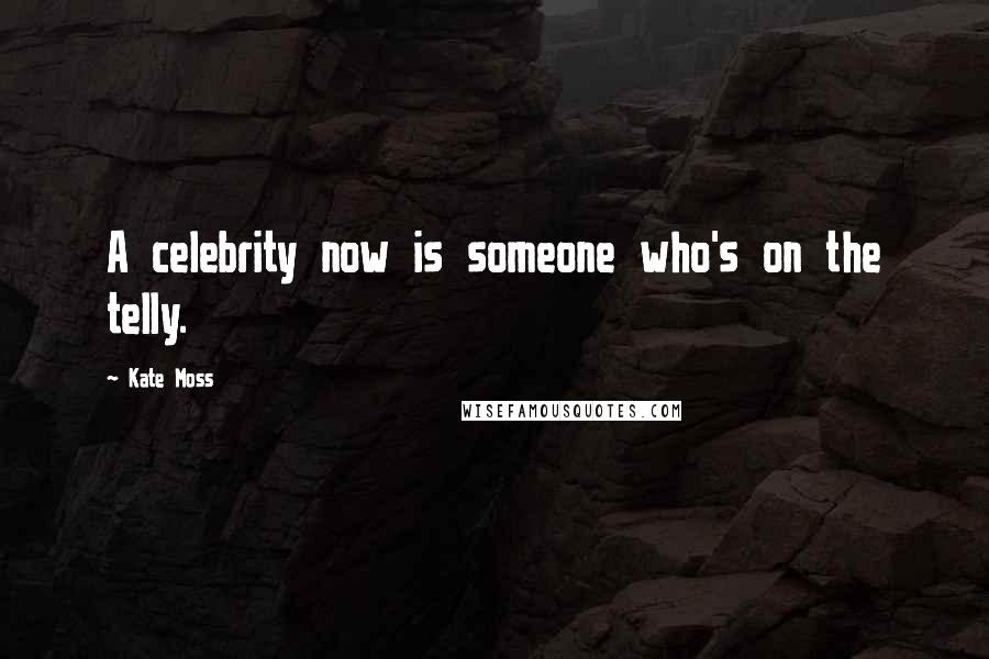 Kate Moss Quotes: A celebrity now is someone who's on the telly.