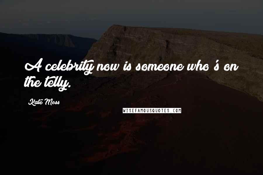 Kate Moss Quotes: A celebrity now is someone who's on the telly.