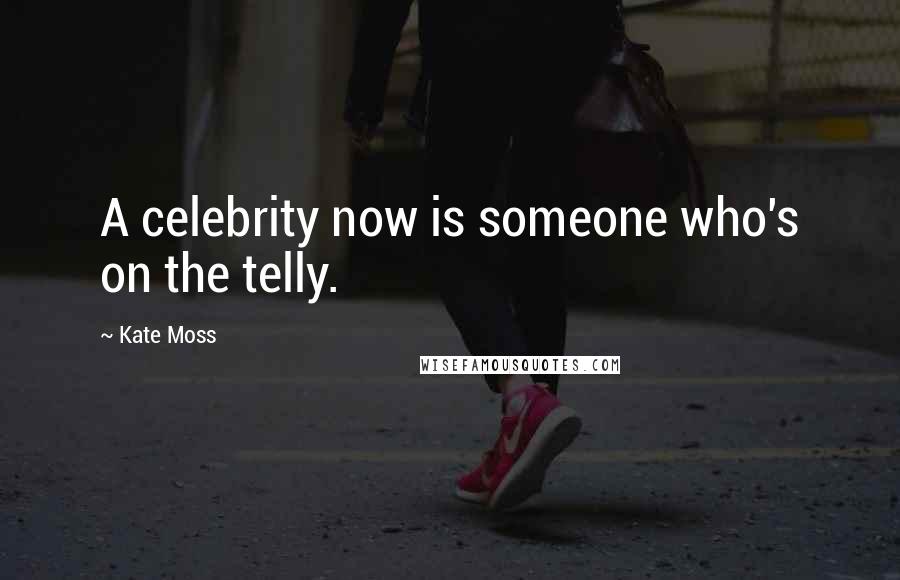 Kate Moss Quotes: A celebrity now is someone who's on the telly.