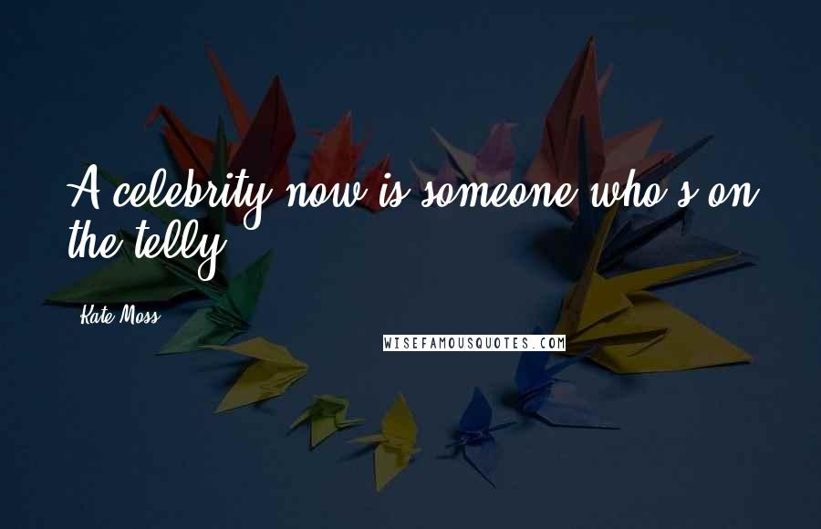 Kate Moss Quotes: A celebrity now is someone who's on the telly.