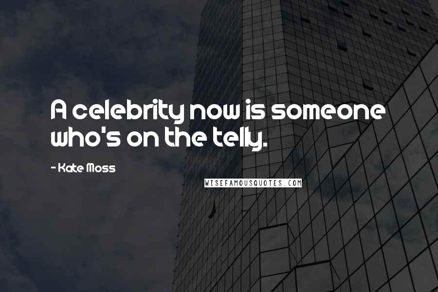 Kate Moss Quotes: A celebrity now is someone who's on the telly.