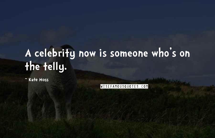 Kate Moss Quotes: A celebrity now is someone who's on the telly.