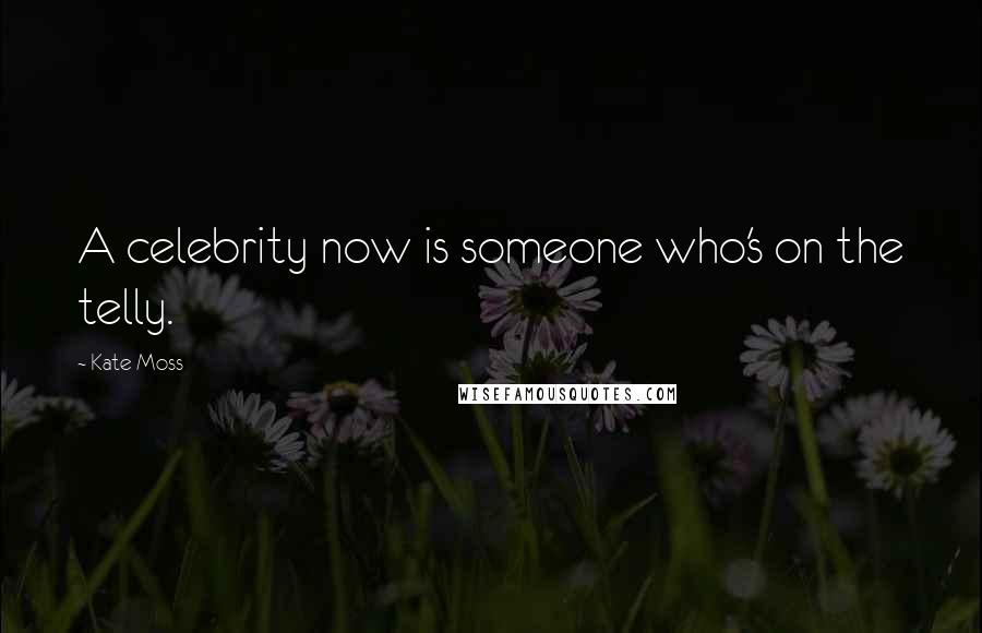 Kate Moss Quotes: A celebrity now is someone who's on the telly.