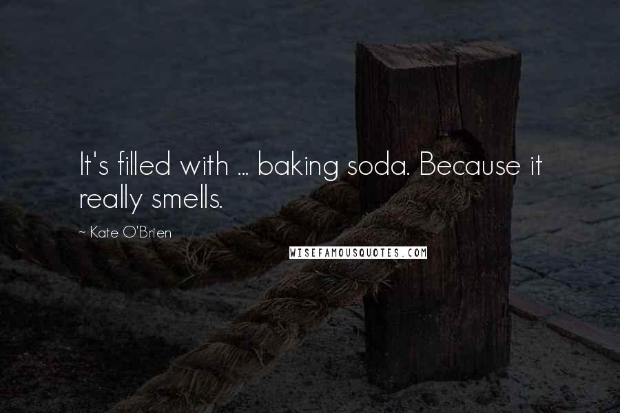 Kate O'Brien Quotes: It's filled with ... baking soda. Because it really smells.