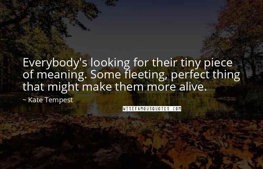 Kate Tempest Quotes: Everybody's looking for their tiny piece of meaning. Some fleeting, perfect thing that might make them more alive.