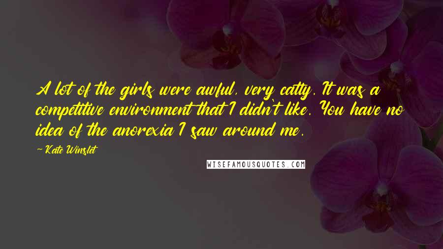 Kate Winslet Quotes: A lot of the girls were awful, very catty. It was a competitive environment that I didn't like. You have no idea of the anorexia I saw around me.