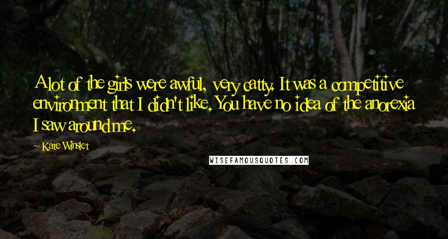 Kate Winslet Quotes: A lot of the girls were awful, very catty. It was a competitive environment that I didn't like. You have no idea of the anorexia I saw around me.