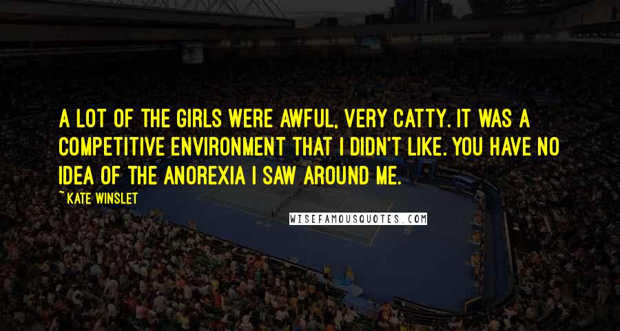 Kate Winslet Quotes: A lot of the girls were awful, very catty. It was a competitive environment that I didn't like. You have no idea of the anorexia I saw around me.