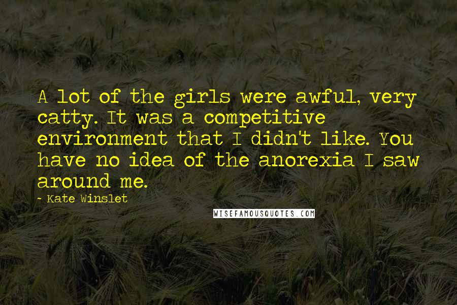 Kate Winslet Quotes: A lot of the girls were awful, very catty. It was a competitive environment that I didn't like. You have no idea of the anorexia I saw around me.