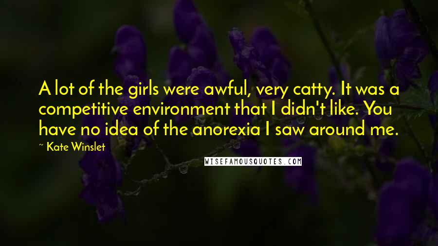 Kate Winslet Quotes: A lot of the girls were awful, very catty. It was a competitive environment that I didn't like. You have no idea of the anorexia I saw around me.