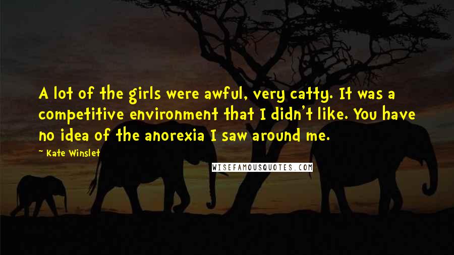 Kate Winslet Quotes: A lot of the girls were awful, very catty. It was a competitive environment that I didn't like. You have no idea of the anorexia I saw around me.