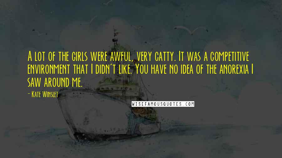 Kate Winslet Quotes: A lot of the girls were awful, very catty. It was a competitive environment that I didn't like. You have no idea of the anorexia I saw around me.