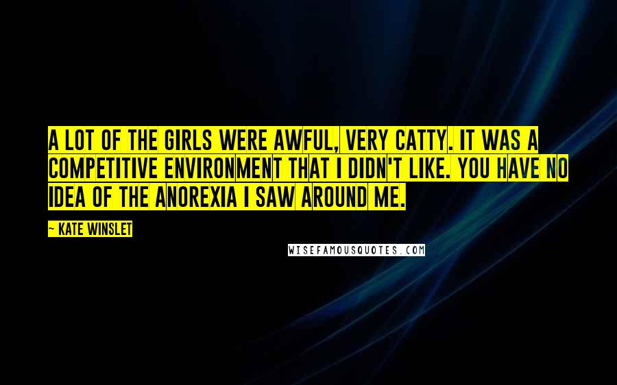 Kate Winslet Quotes: A lot of the girls were awful, very catty. It was a competitive environment that I didn't like. You have no idea of the anorexia I saw around me.