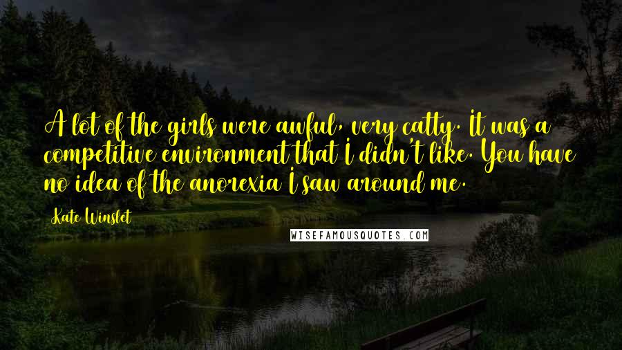 Kate Winslet Quotes: A lot of the girls were awful, very catty. It was a competitive environment that I didn't like. You have no idea of the anorexia I saw around me.