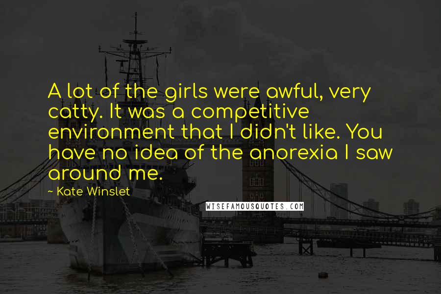 Kate Winslet Quotes: A lot of the girls were awful, very catty. It was a competitive environment that I didn't like. You have no idea of the anorexia I saw around me.