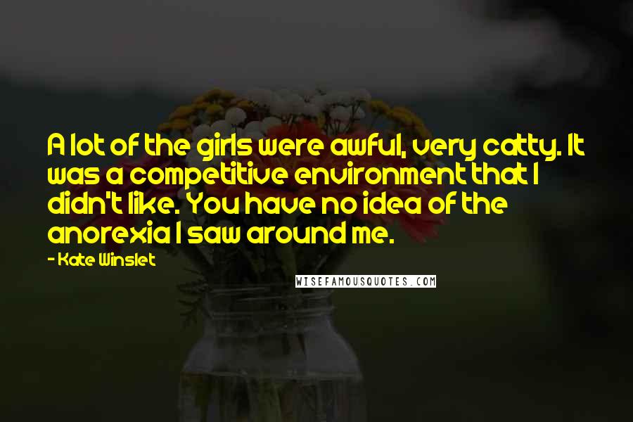 Kate Winslet Quotes: A lot of the girls were awful, very catty. It was a competitive environment that I didn't like. You have no idea of the anorexia I saw around me.