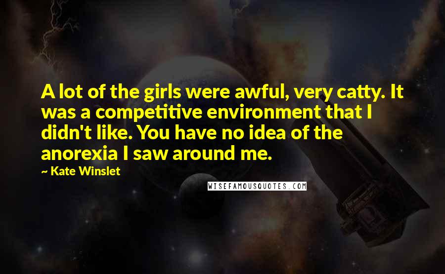 Kate Winslet Quotes: A lot of the girls were awful, very catty. It was a competitive environment that I didn't like. You have no idea of the anorexia I saw around me.