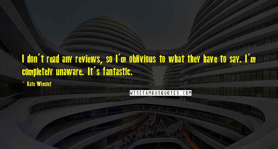 Kate Winslet Quotes: I don't read any reviews, so I'm oblivious to what they have to say. I'm completely unaware. It's fantastic.