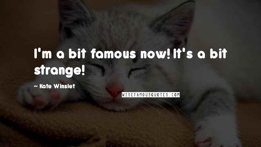 Kate Winslet Quotes: I'm a bit famous now! It's a bit strange!