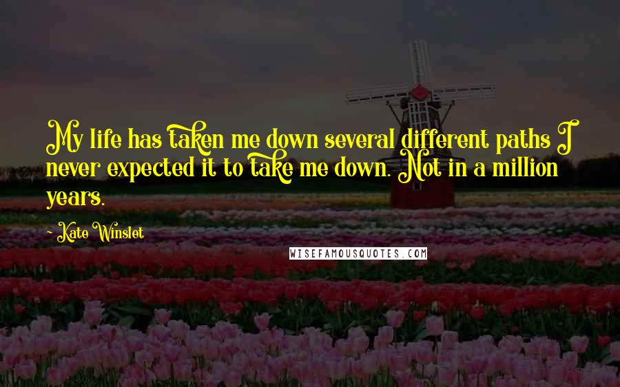 Kate Winslet Quotes: My life has taken me down several different paths I never expected it to take me down. Not in a million years.