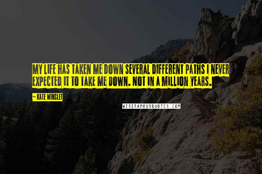 Kate Winslet Quotes: My life has taken me down several different paths I never expected it to take me down. Not in a million years.