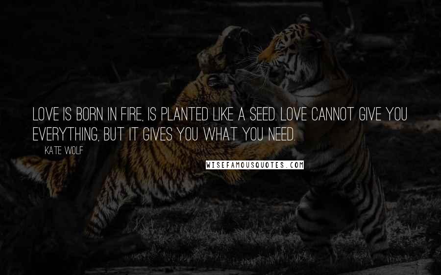 Kate Wolf Quotes: Love is born in fire, is planted like a seed. Love cannot give you everything, but it gives you what you need.