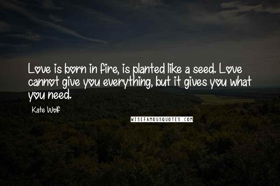 Kate Wolf Quotes: Love is born in fire, is planted like a seed. Love cannot give you everything, but it gives you what you need.