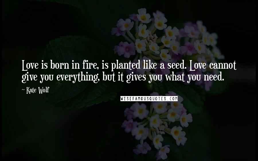 Kate Wolf Quotes: Love is born in fire, is planted like a seed. Love cannot give you everything, but it gives you what you need.