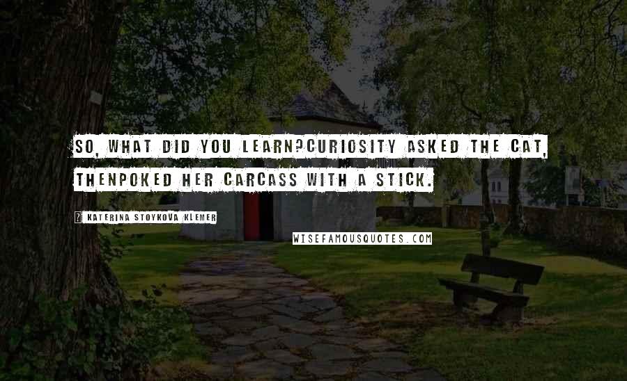 Katerina Stoykova Klemer Quotes: So, what did you learn?Curiosity asked the Cat, thenpoked her carcass with a stick.