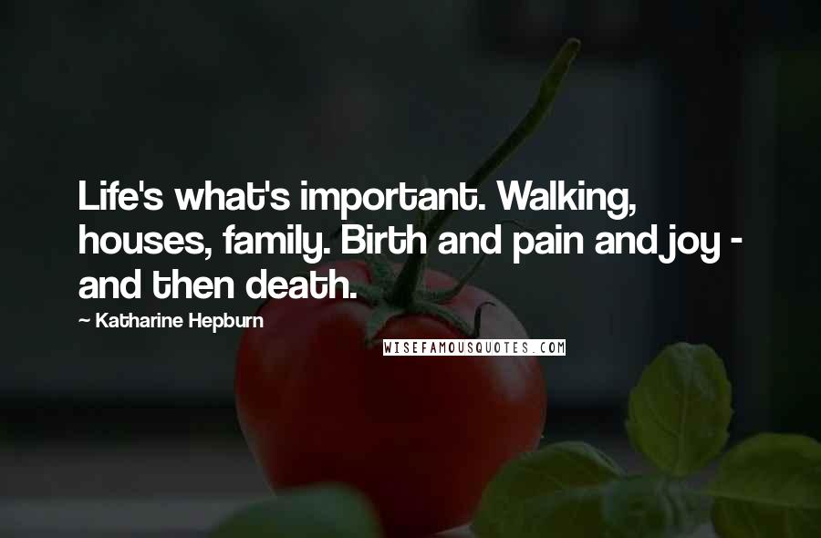Katharine Hepburn Quotes: Life's what's important. Walking, houses, family. Birth and pain and joy - and then death.