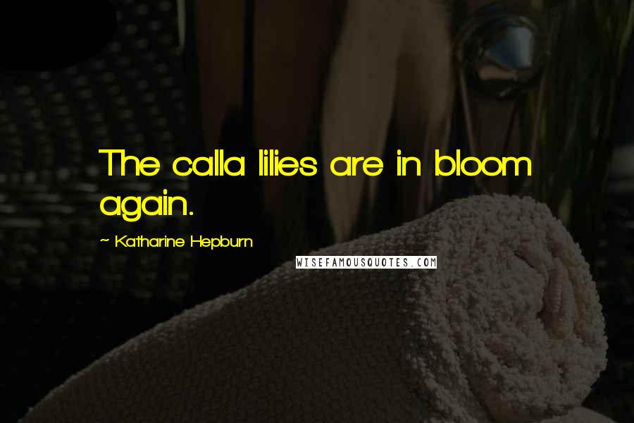 Katharine Hepburn Quotes: The calla lilies are in bloom again.