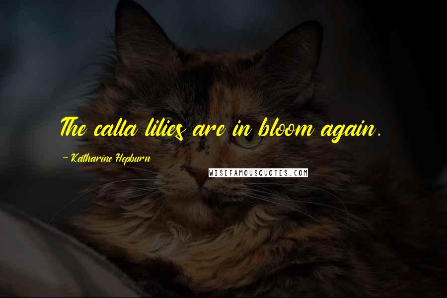 Katharine Hepburn Quotes: The calla lilies are in bloom again.