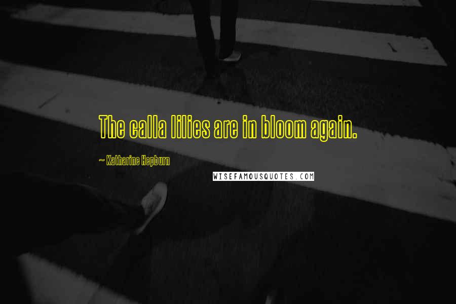 Katharine Hepburn Quotes: The calla lilies are in bloom again.