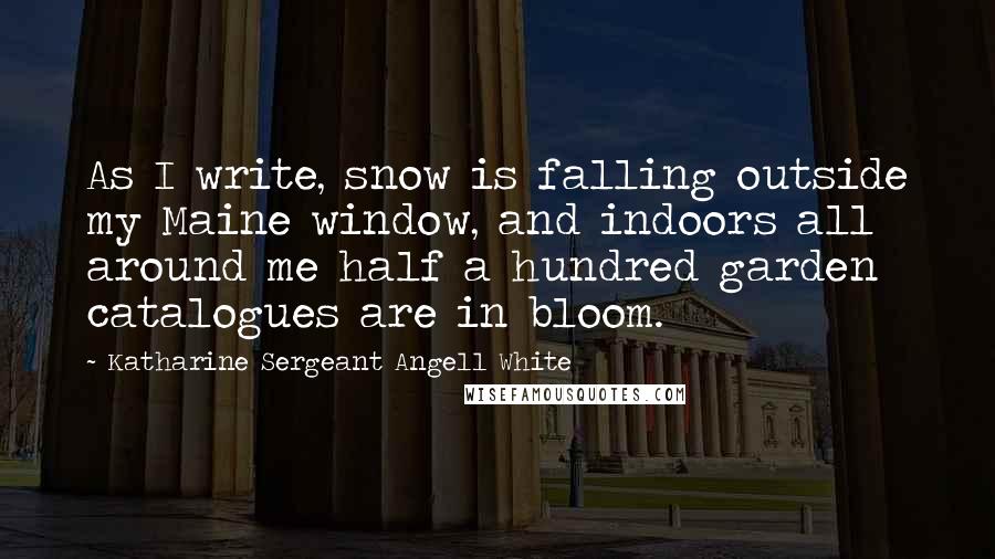 Katharine Sergeant Angell White Quotes: As I write, snow is falling outside my Maine window, and indoors all around me half a hundred garden catalogues are in bloom.