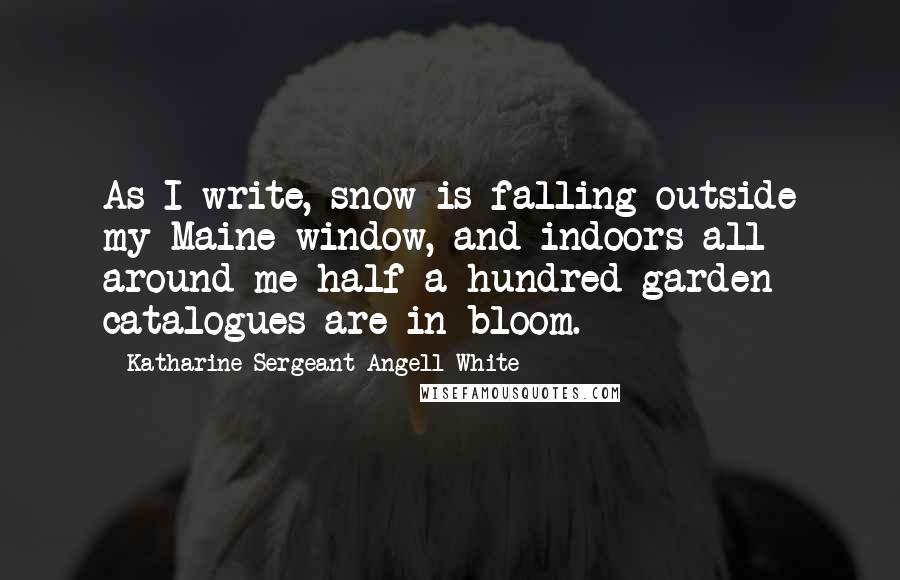 Katharine Sergeant Angell White Quotes: As I write, snow is falling outside my Maine window, and indoors all around me half a hundred garden catalogues are in bloom.