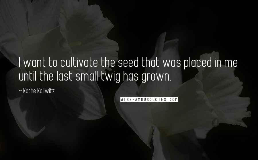 Kathe Kollwitz Quotes: I want to cultivate the seed that was placed in me until the last small twig has grown.